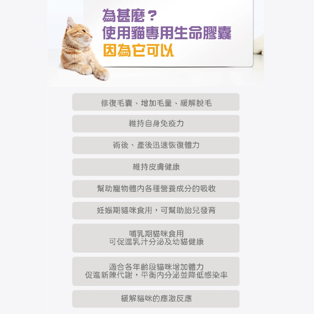 【虎揚】LIFE+ 貓咪專用 生命膠囊 (60粒/盒) 甲魚蛋 鱉丹 爆毛丹 寵物保健, , large