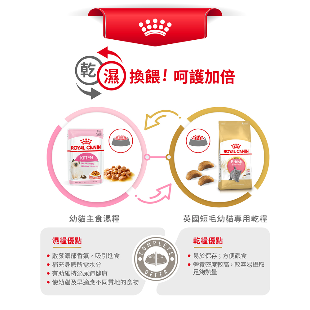 Royal Canin British Shorthair Kitten Food BSK38, , large