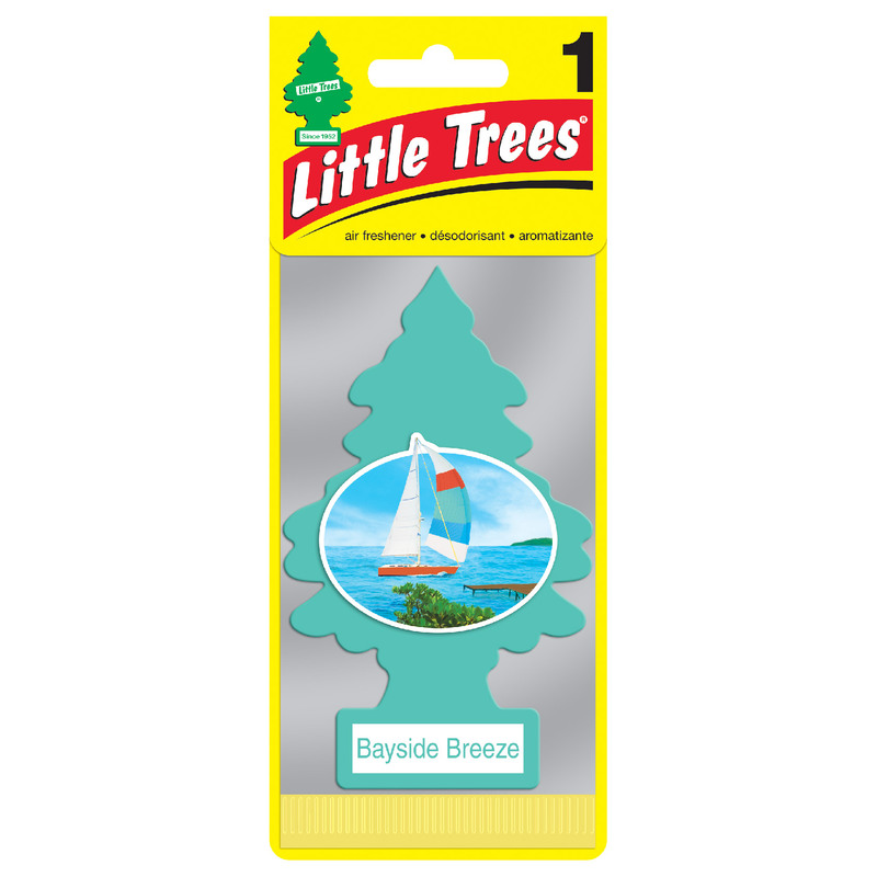 Little Tree, 海灣微風, large