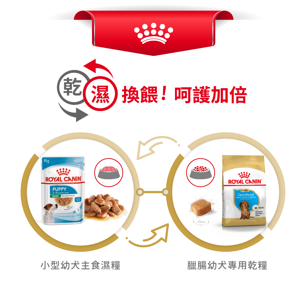 Royal Canin Dachshund Puppy DSP, , large