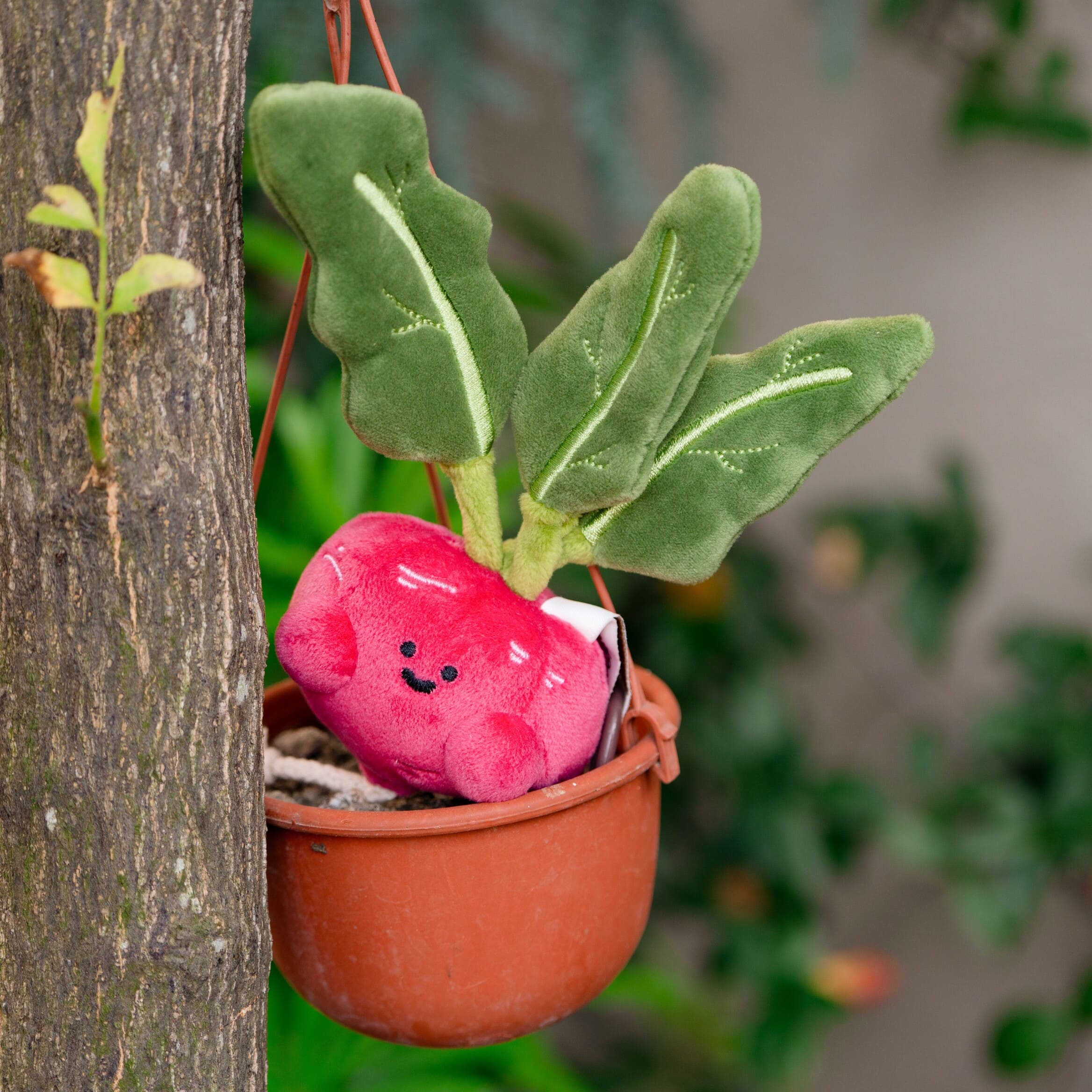 【際洋文化】蔔學多才-蘿蔔, , large