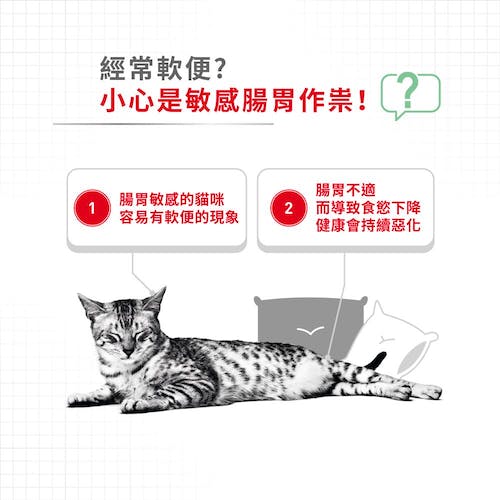 【拉拉寵物小舖】法國皇家 貓主食餐包 S33W 腸胃保健貓主食濕糧 貓主食濕糧, , large