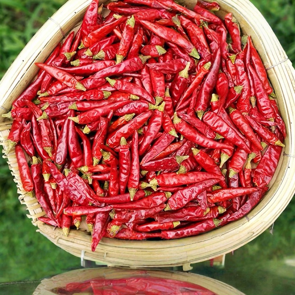 四川乾辣椒 朝天椒, , large