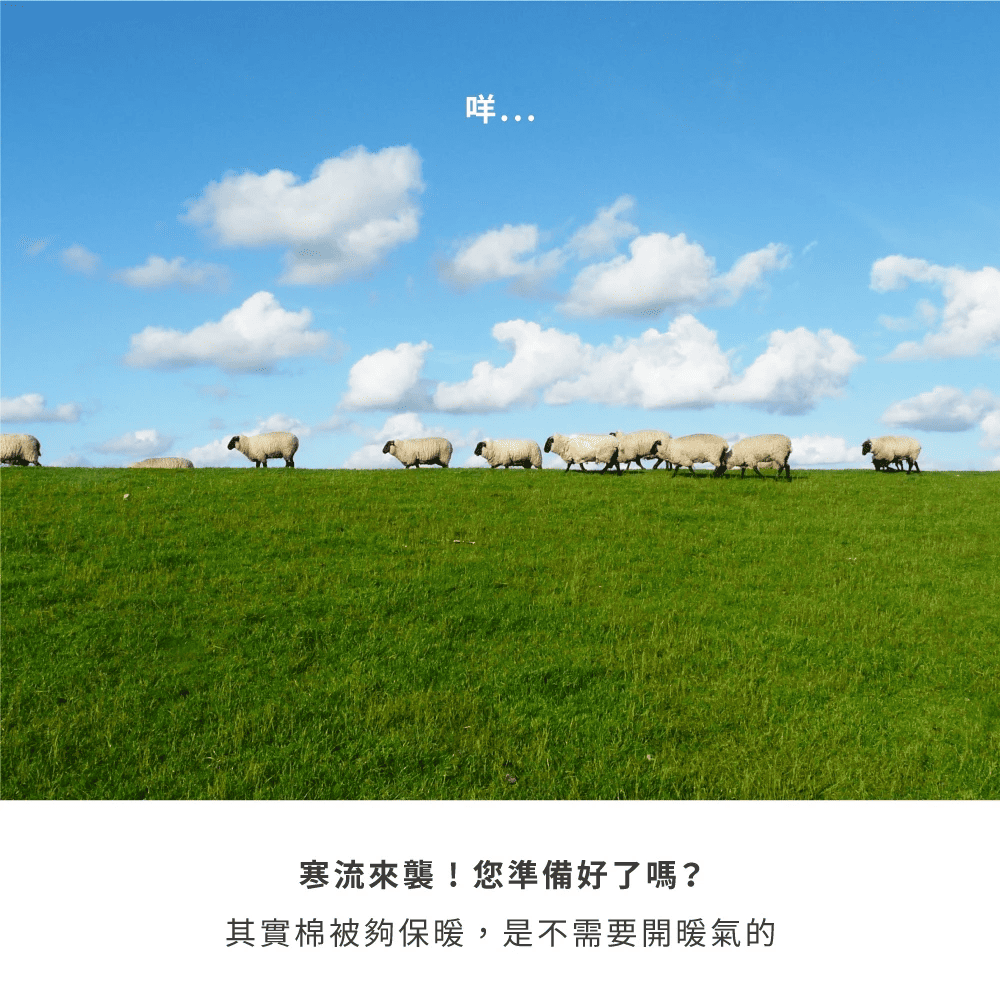 100-pure-wool-winter-quilt, , large