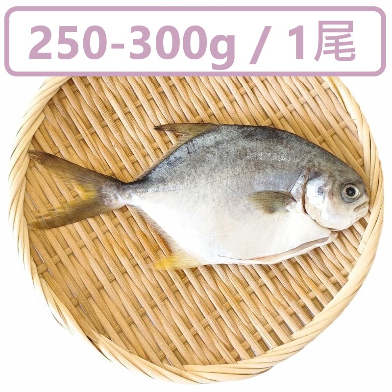 【一夫水產】產銷履歷/黃金鯧魚(250g), , large