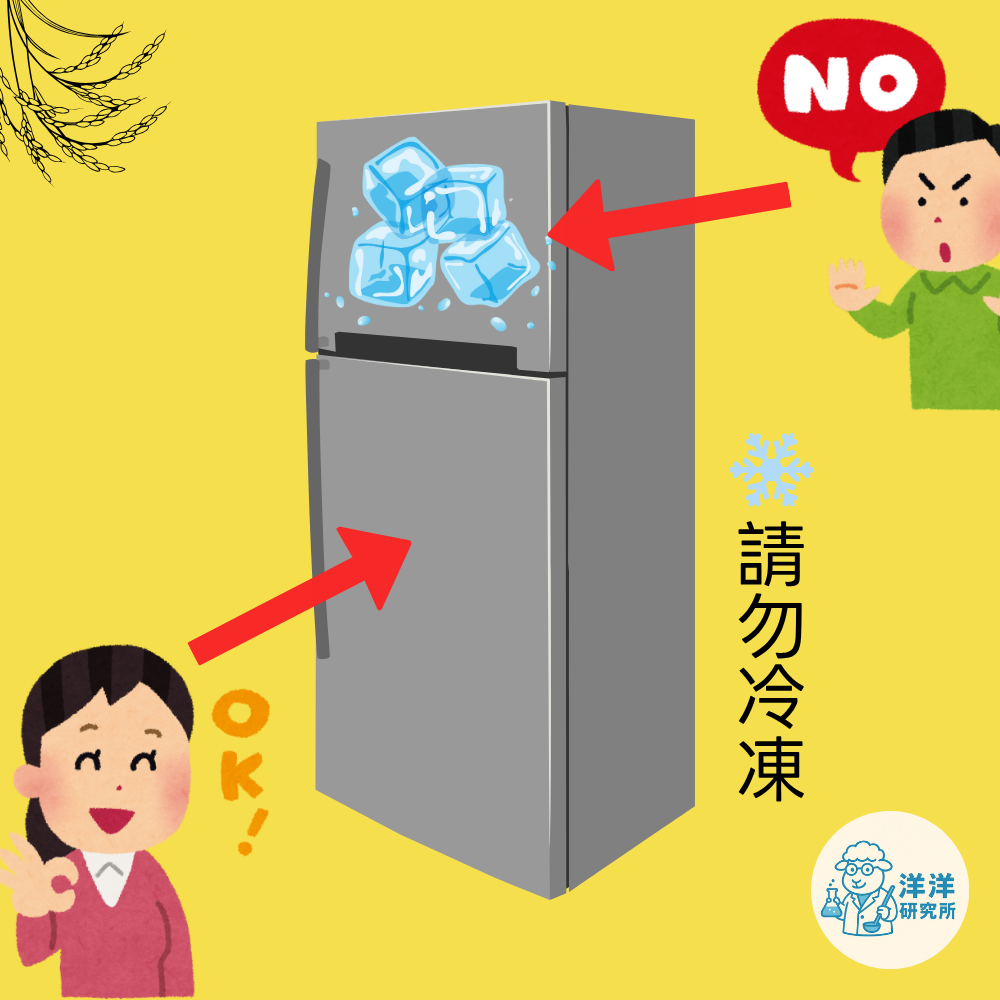 【洋洋研究所】麻油杏鮑菇蘿蔔糕-全素-600g-無修飾商品-低溫, , large