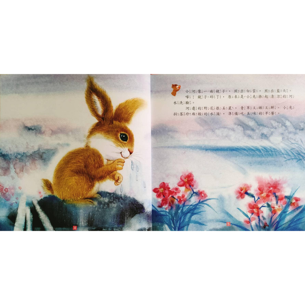 《南門書局》小動物成長繪本6冊, , large