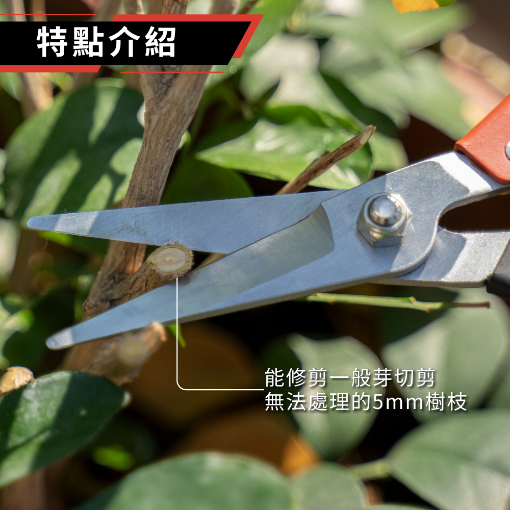 【HOKAS】專業芽切剪 園藝剪刀 修枝剪刀 園藝採果 花剪 切花 S535, , large