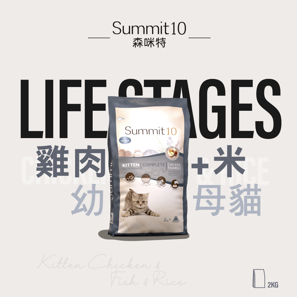 SUMMIT, , large