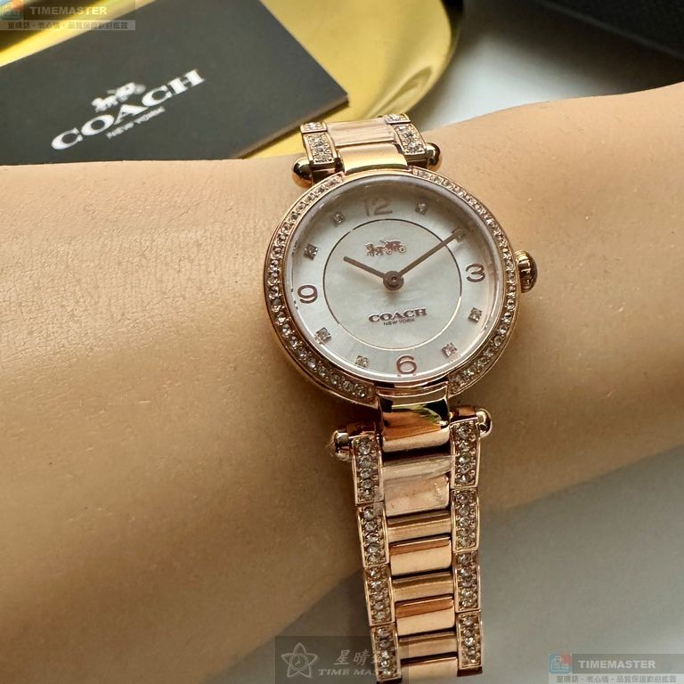 [星晴錶業]COACH手錶,26mm,CH00250白色錶面玫瑰金錶殼玫瑰金色精鋼錶帶款, , large