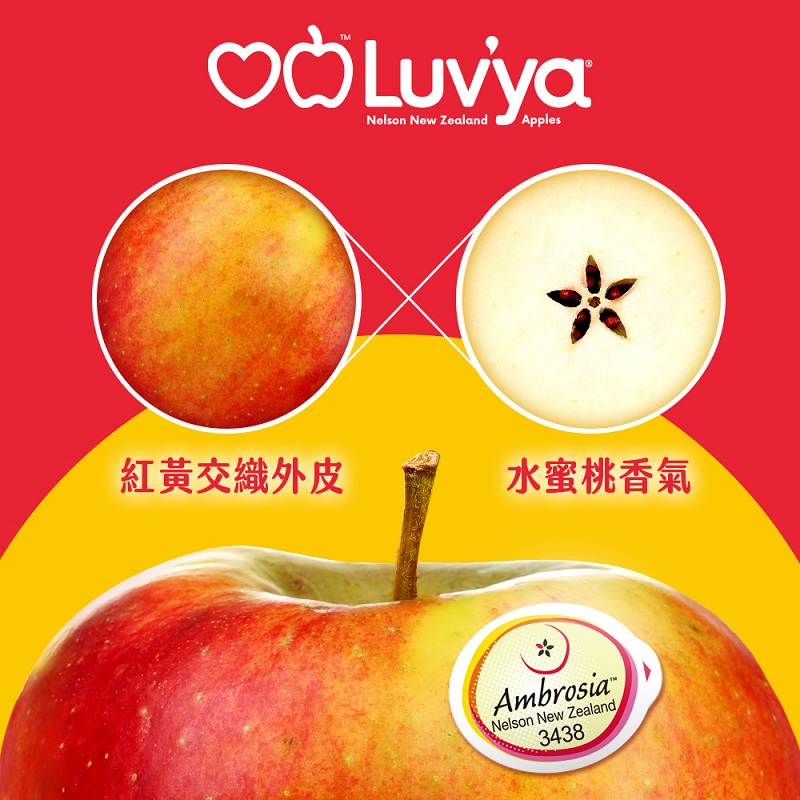Ambrosia Apple#90, , large