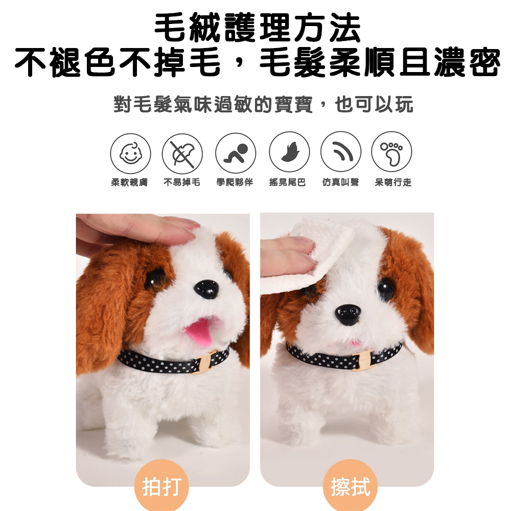 【啾愛你】可愛電動寵物-兔子 附寵物行李箱-藍色, , large