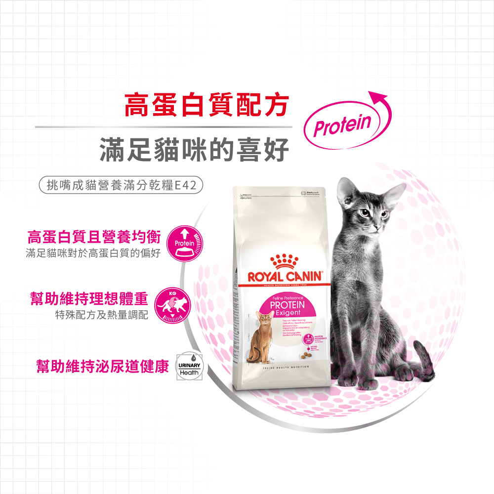 Royal Canin Senior Fussy Cat Complete Nutrition Formula for Adult Cats E42 , , large