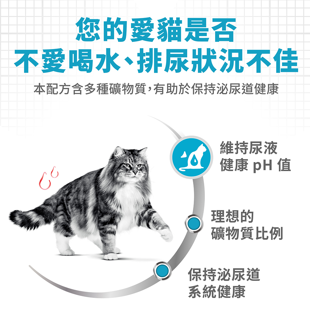 Royal Canin UC33 for Adult Cats with Urinary Tract Health, , large