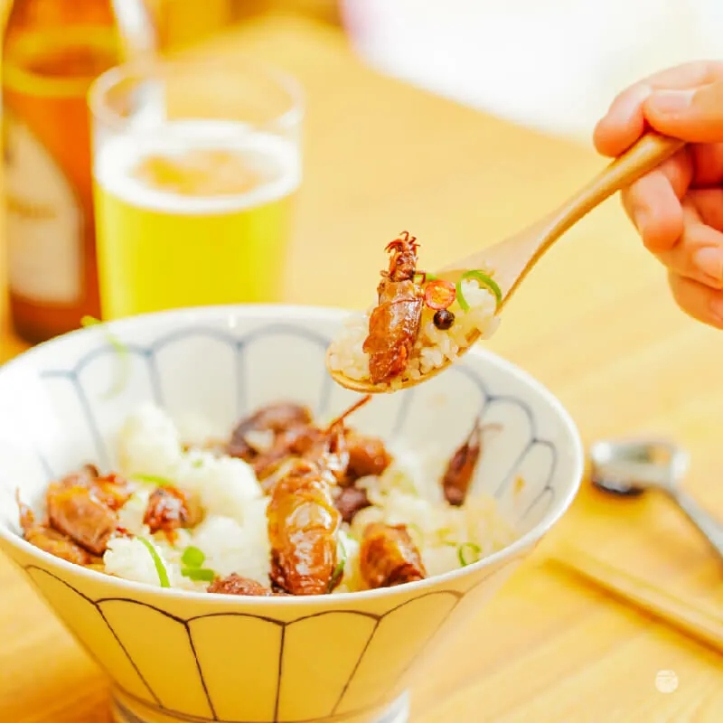 [或者安醬]油封野薑花小卷, , large