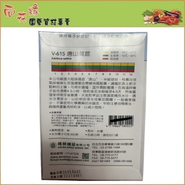 【向花緣】天星牌 唐山萵苣 - 蔬菜種子, , large