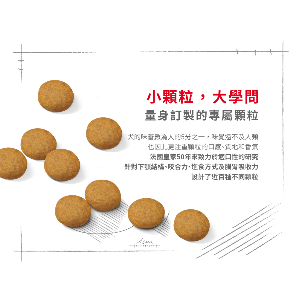 【Royal Canin法國皇家】皮膚保健中型成犬DMM, , large