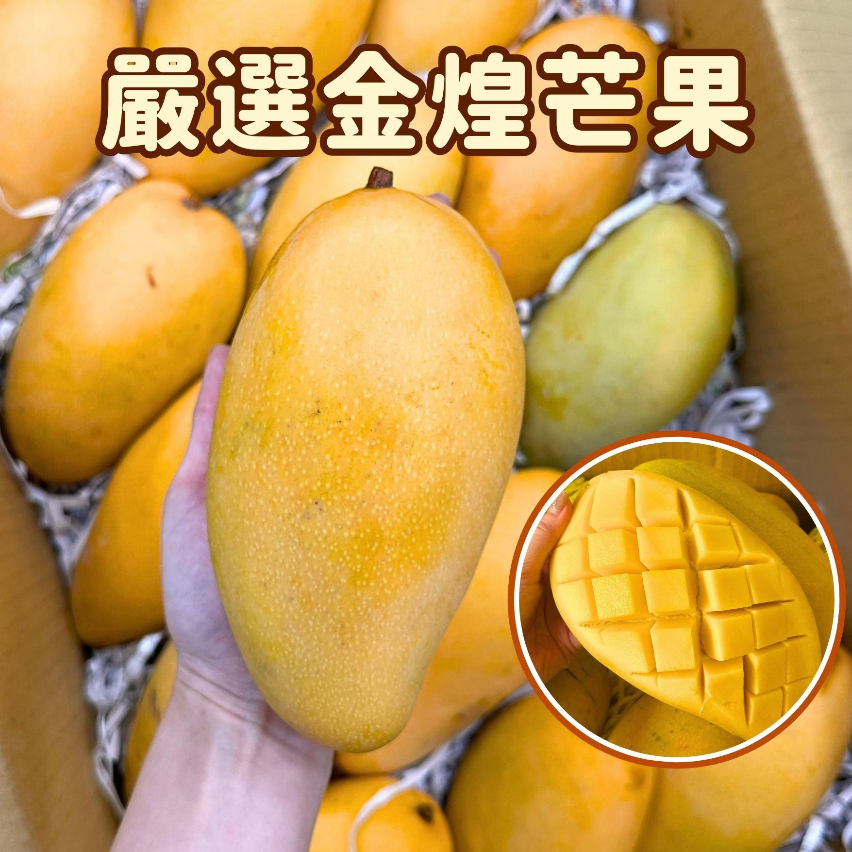 [芯鮮果]台灣嚴選( 金煌芒果 ), , large