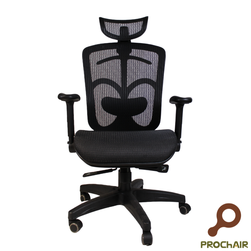 [PROChAIR椅子多]Richard膽氣椅(全網椅)電腦椅/辦公椅/人體工學椅, , large