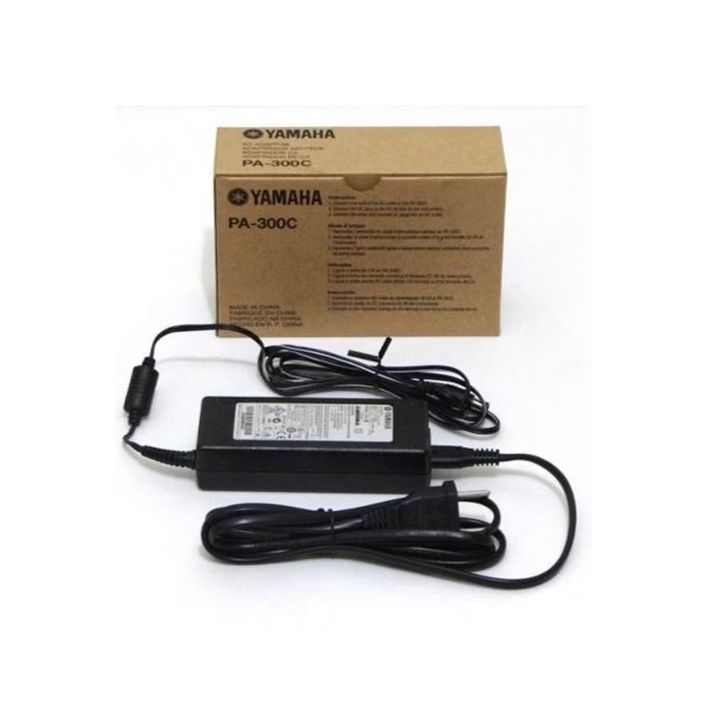 YAMAHA PA300C PSRS, , large