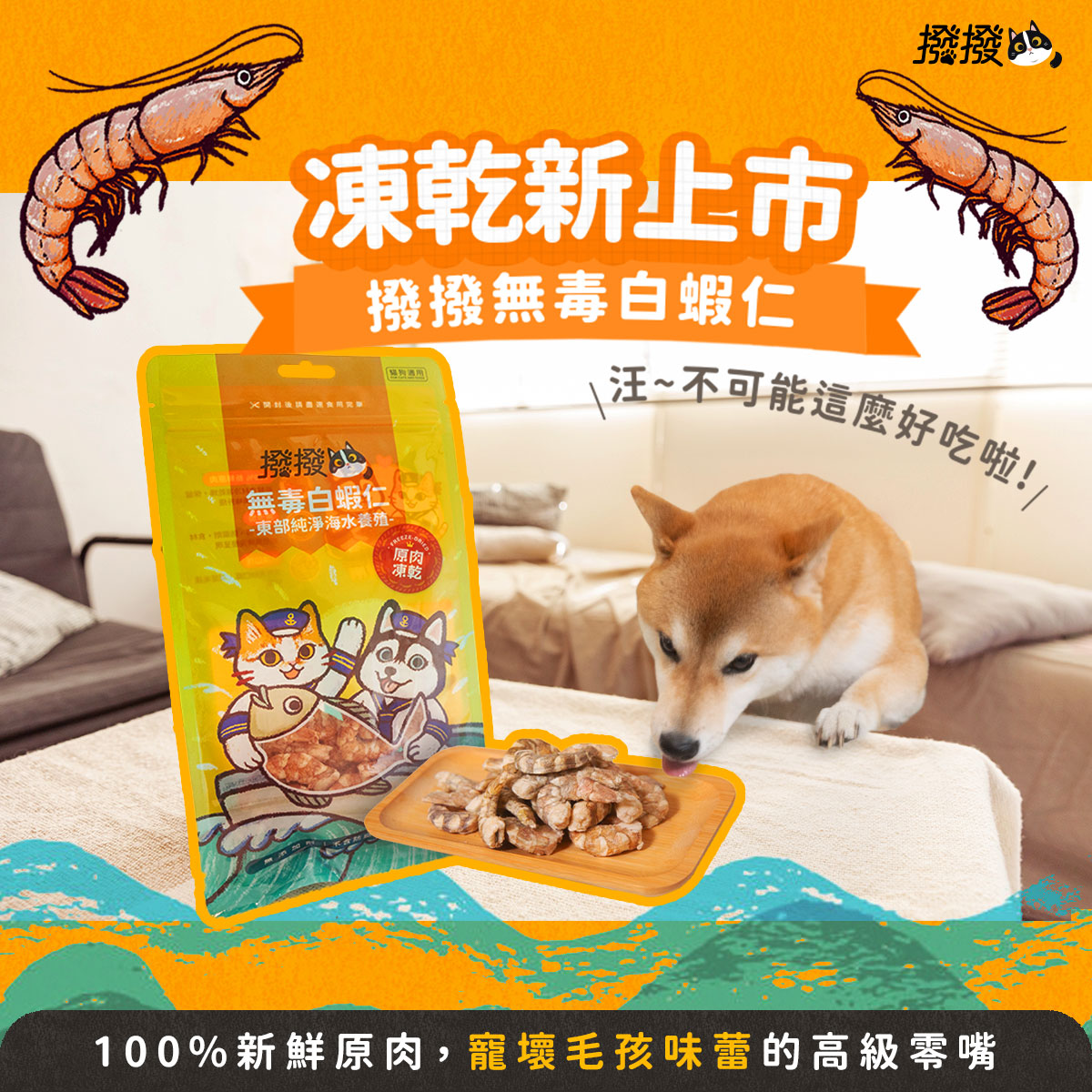 【撥撥】無毒白蝦仁 - 東部純淨海水養殖，貓狗適用原肉凍乾｜每包20g