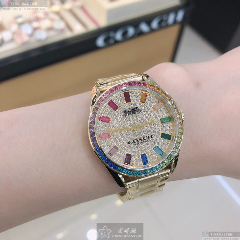 [TIMEMASTER] COACH watch, 36mm, CH00136, , large