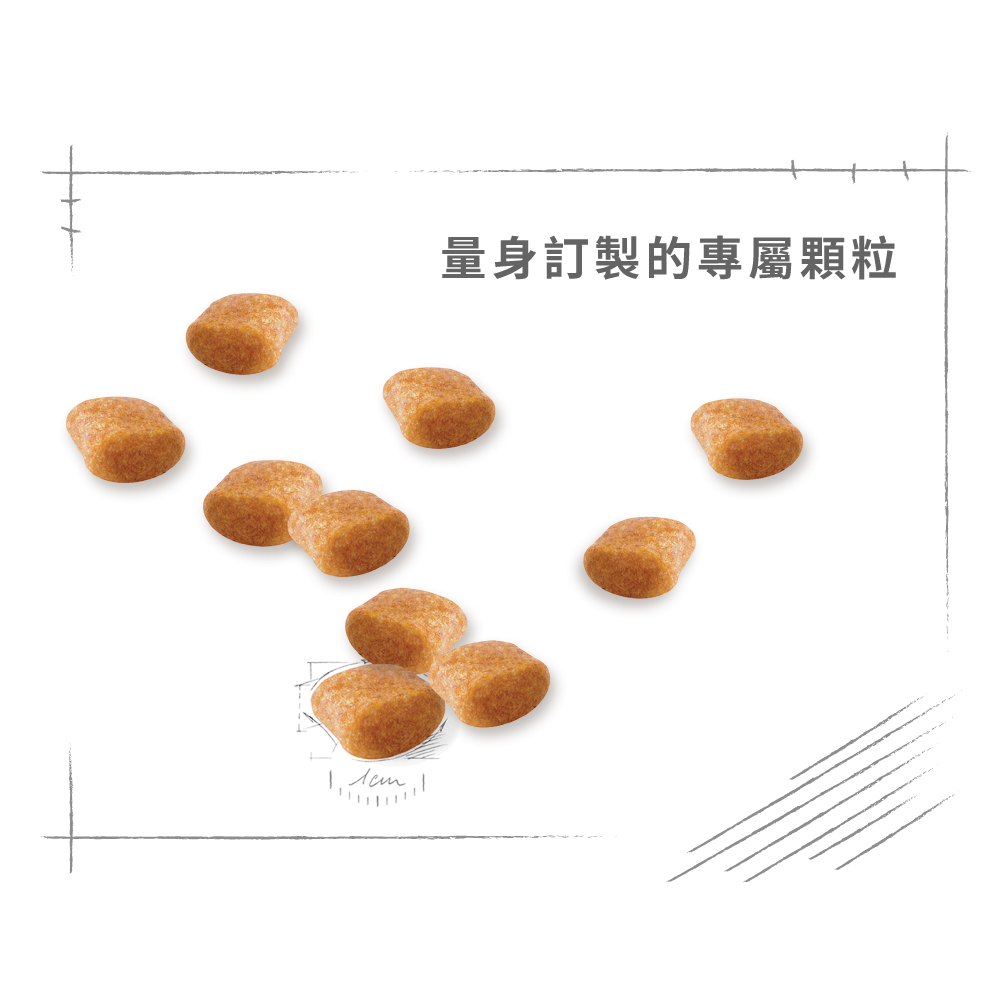 Royal Canin Poodle Puppy PDP, , large