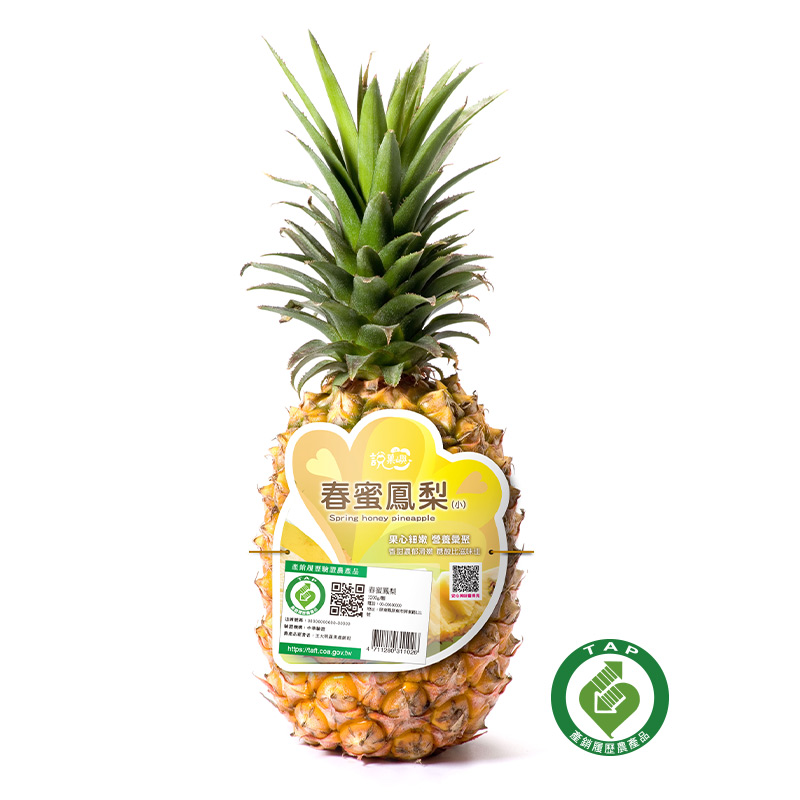 TAP Spring Pineapple/pc, , large