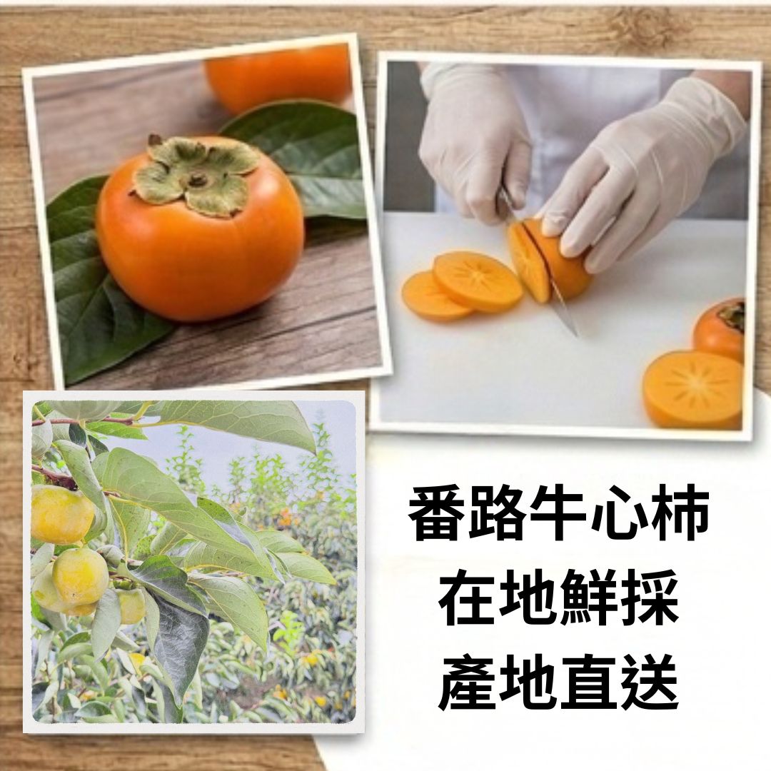 Persimmon Chips 110g Original, , large