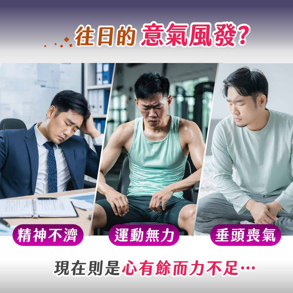 【五洲生醫】鋅帝王黑馬卡EX升級版膠囊(60粒/盒), , large