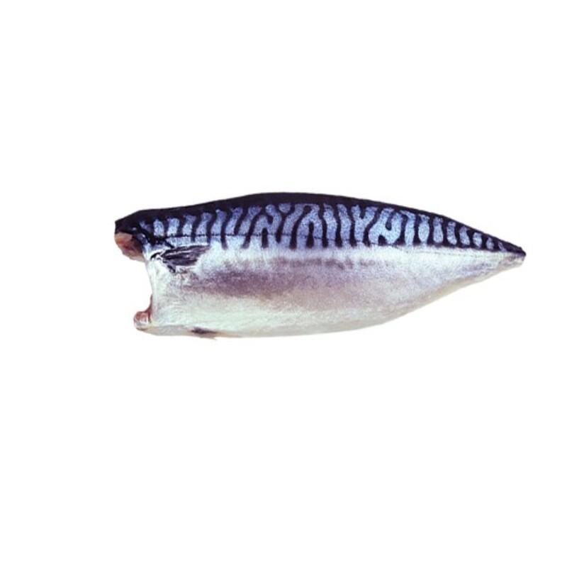 NOR Salted Mackerel fillet, , large