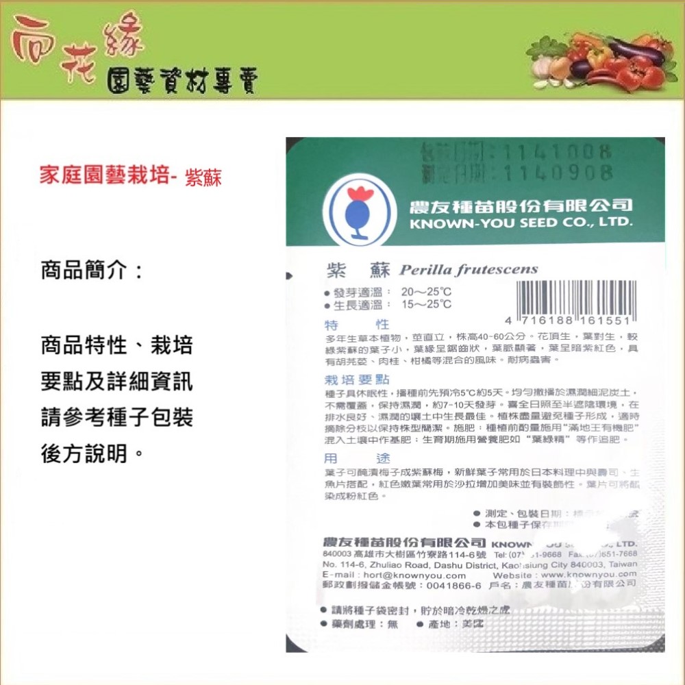 【向花緣】農友 紫蘇 - 香藥草種子, , large