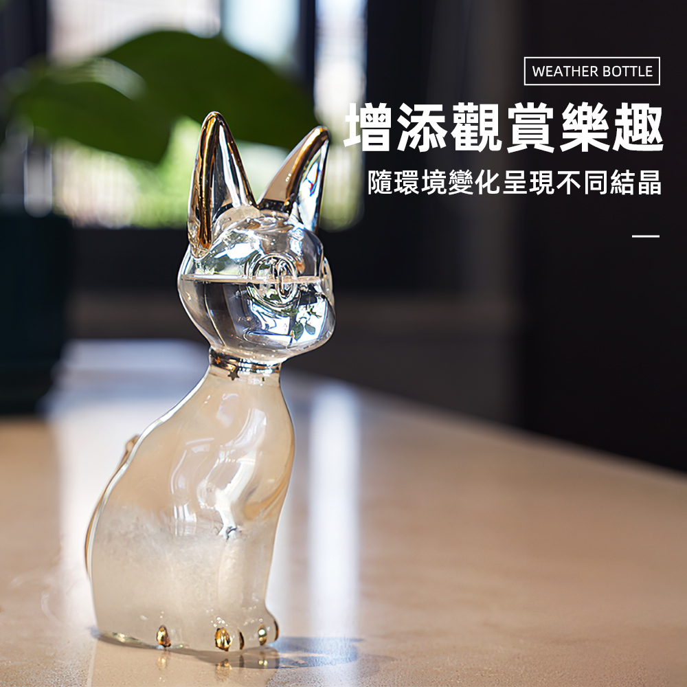 anderson-cat-weather-bottle, , large