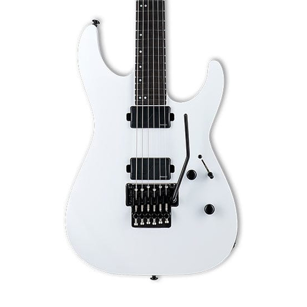 LTD M-1000 SW - FISHMAN, , large