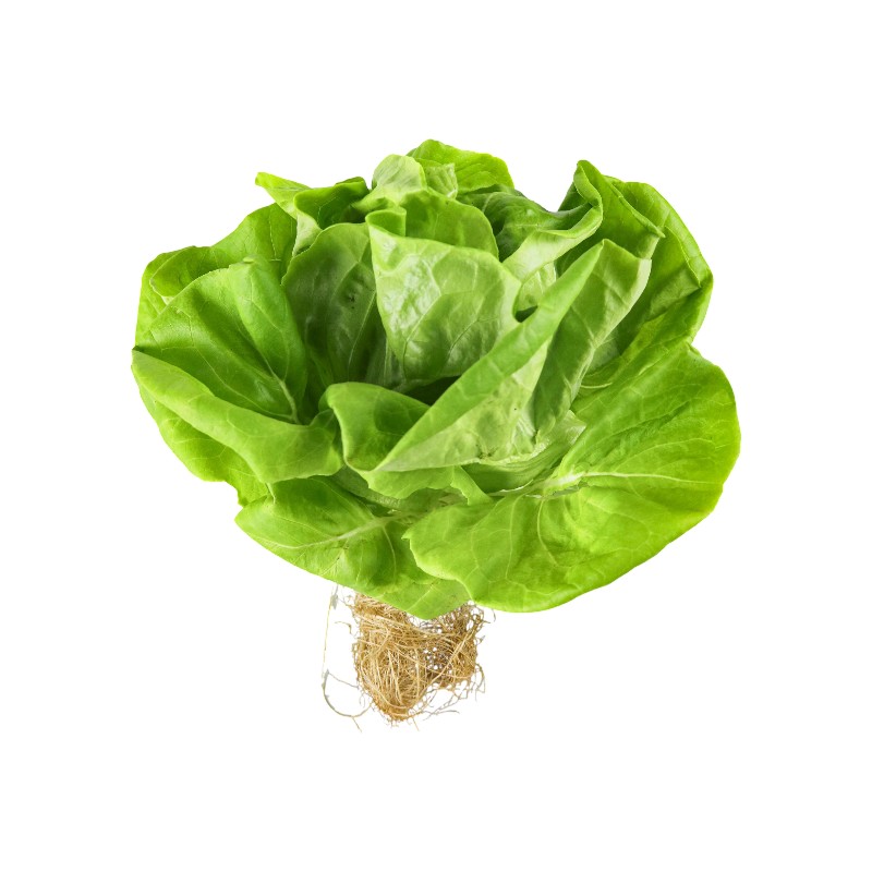 TAP Traceable Green Butter, , large