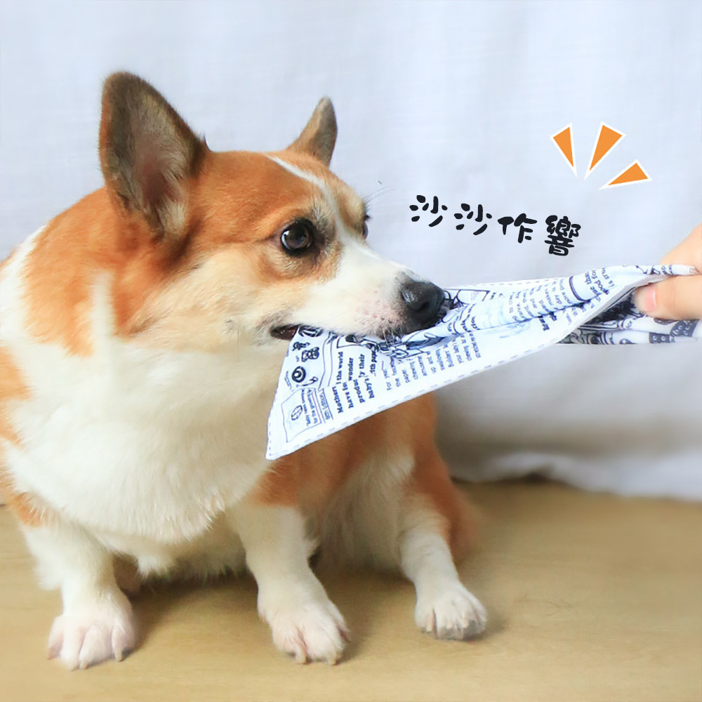 【CITY STAR】A dog-friendly, loud newspaper chew toy that's durable and provides self-entertainment., , large