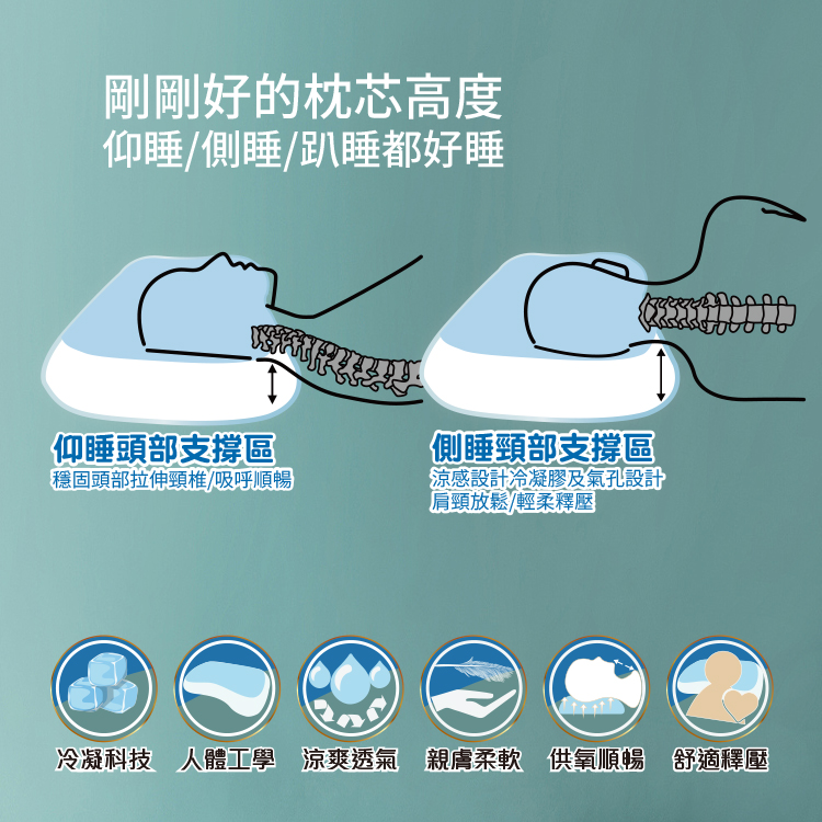 【多利寶寢具】Victoria_四季涼感人體工學記憶枕(1顆), , large