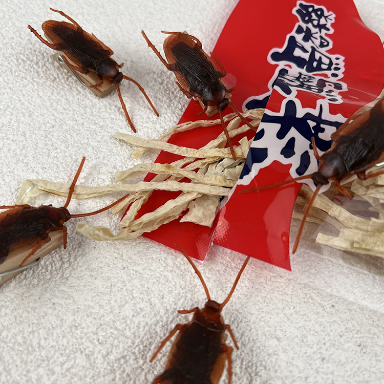 蟑螂收納夾 夾子 惡作劇 玩具 整人玩具 假蟑螂 道具 仿蟑螂夾子 食物夾 惡搞, , large
