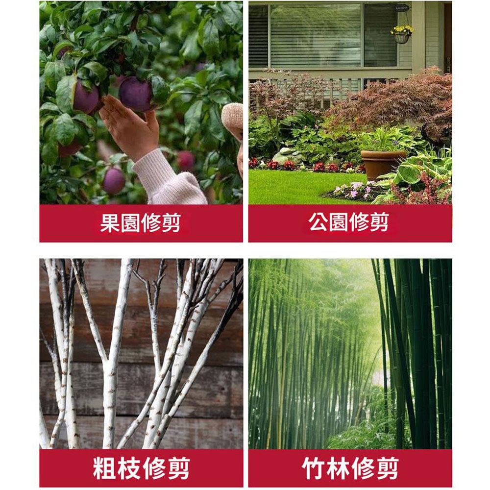 Pruning shears 2.0 with display (5 sections) 1 battery 1 charger, , large