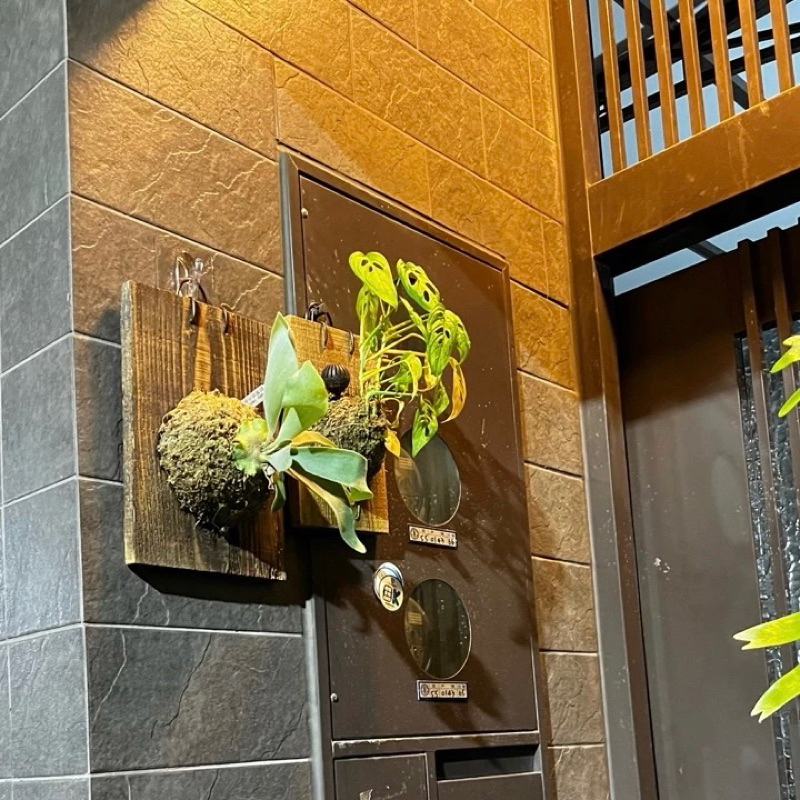 [Beargood sticker] Large Oval Adhesive Hook, , large