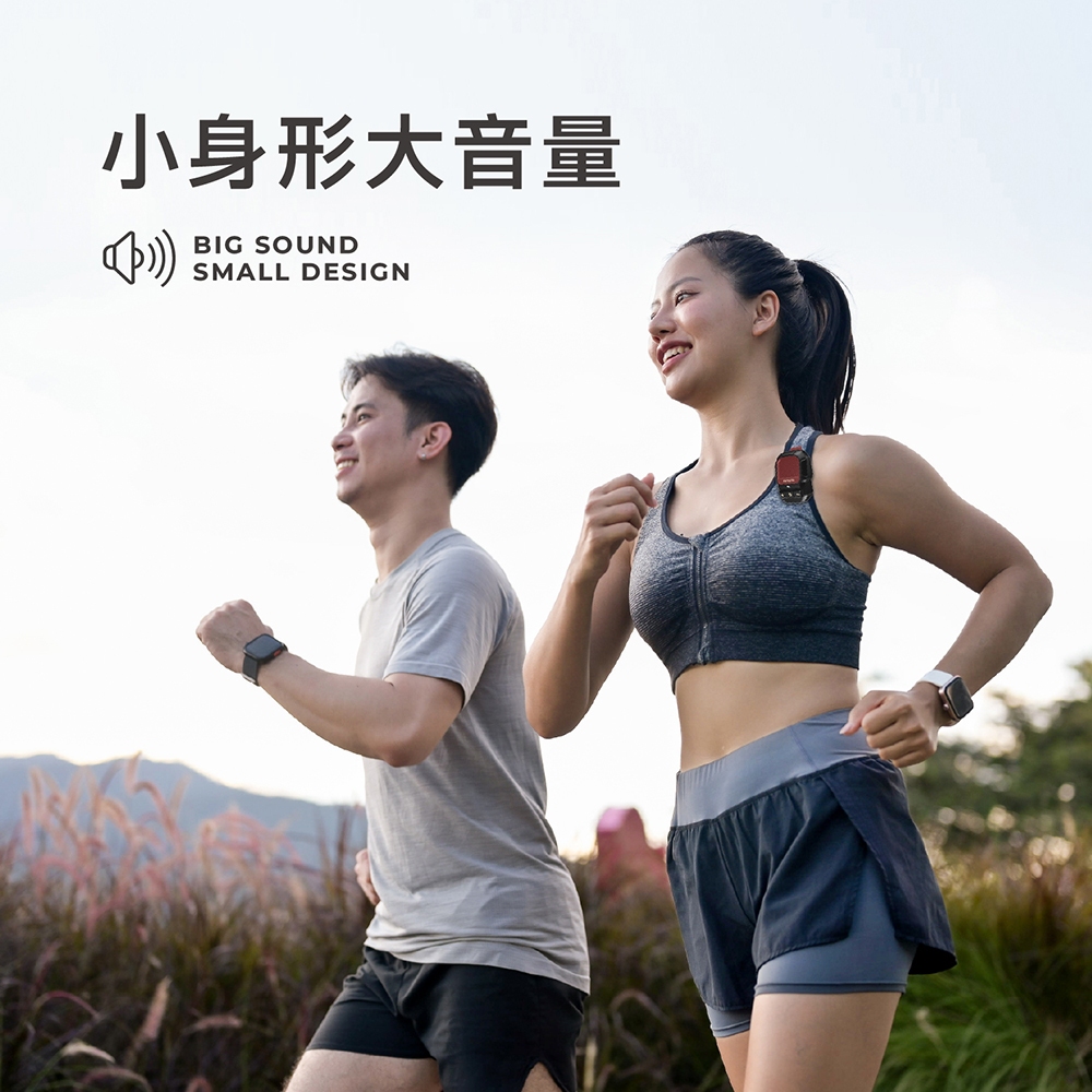 AIWA 愛華 便攜式藍牙音箱 CP-X30 灰色, 灰色, large