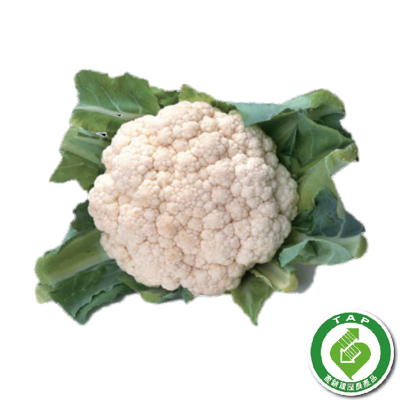 履歷白花菜400g/顆, , large