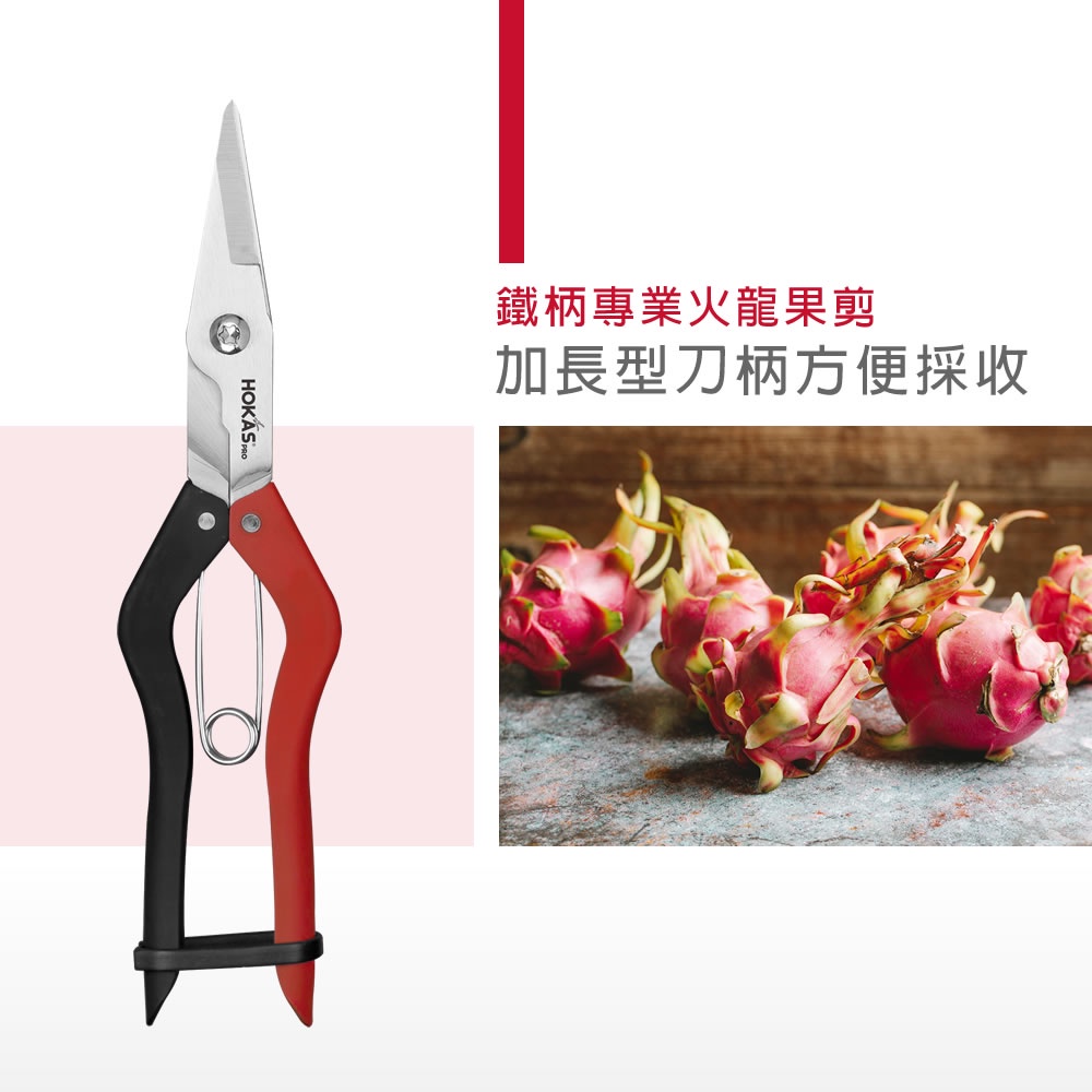 【HOKAS】S523 鐵柄專業火龍果剪 (葡萄剪 剪果 園藝剪刀 剪定鋏  修枝剪刀 樹剪 果樹剪 採果剪), , large