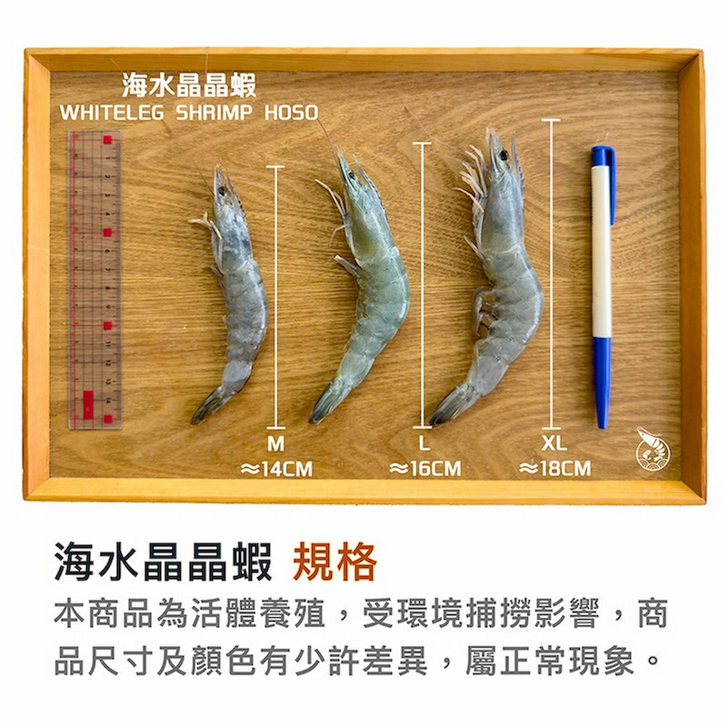 【一夫水產】【賞味期限2026.07.23】產銷履歷/海水晶晶蝦－M－10入組, , large