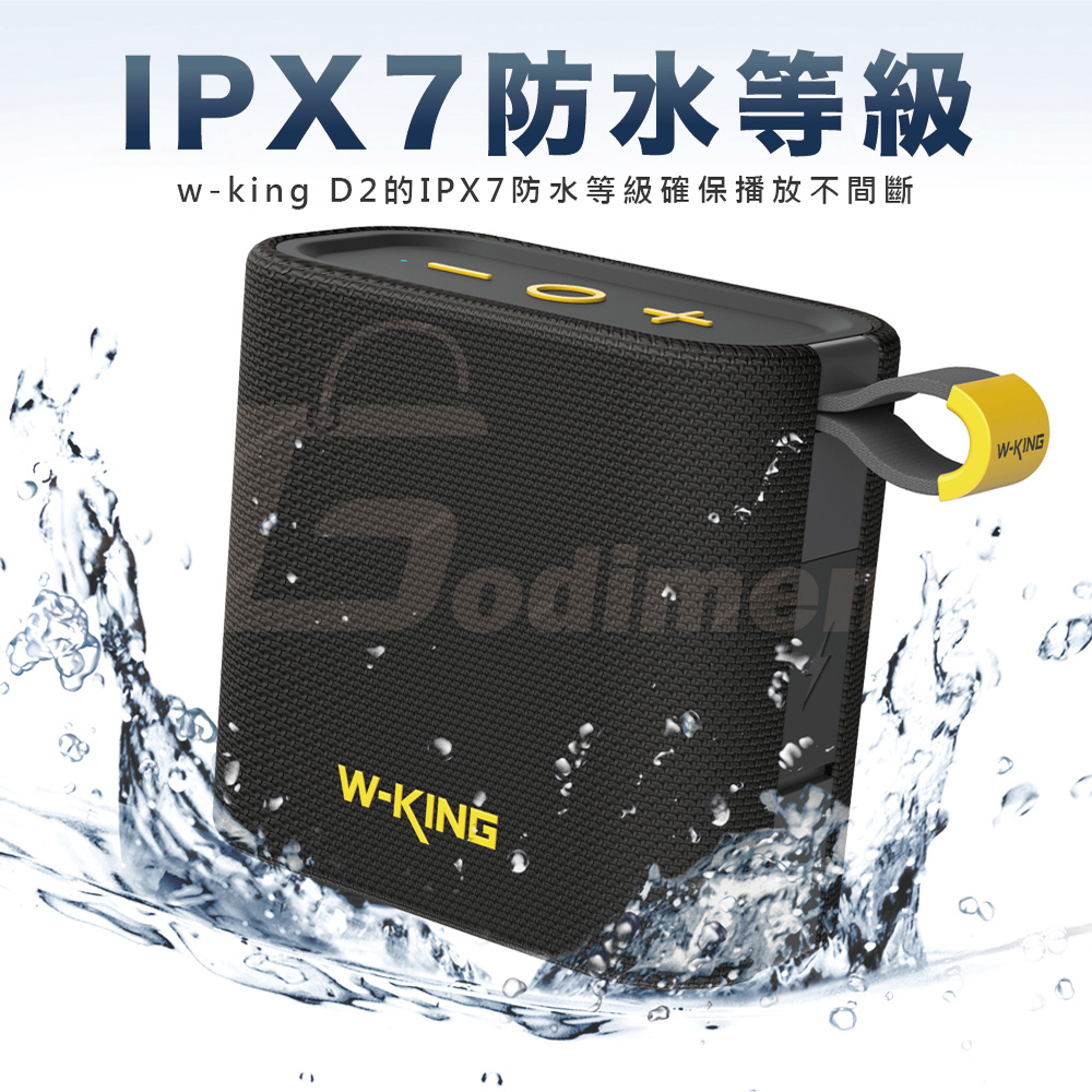 W-KING D2, , large