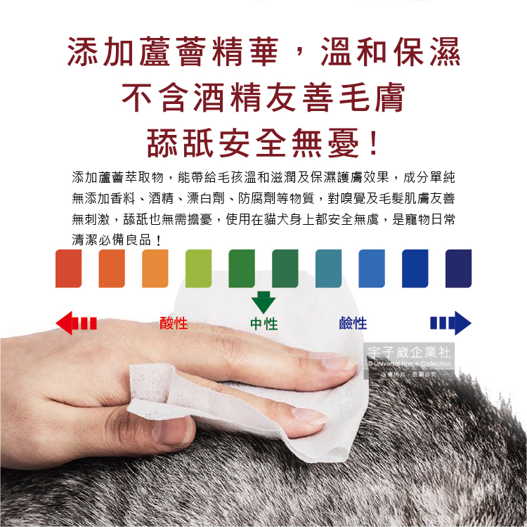 KOJIMA Pet Wet tissue 80pcs, , large