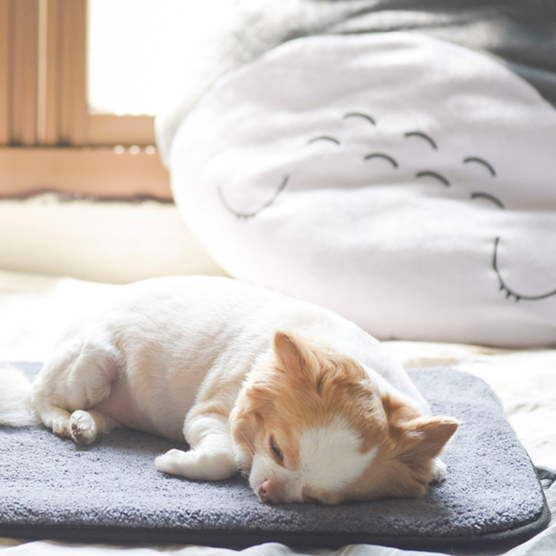 hachi Multifunctional Pet mat , , large