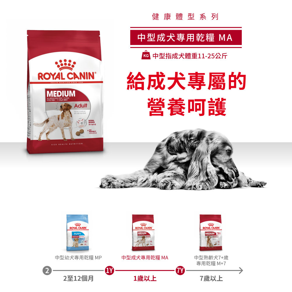 Royal Canin法國皇家 皇家中型成犬MA, , large