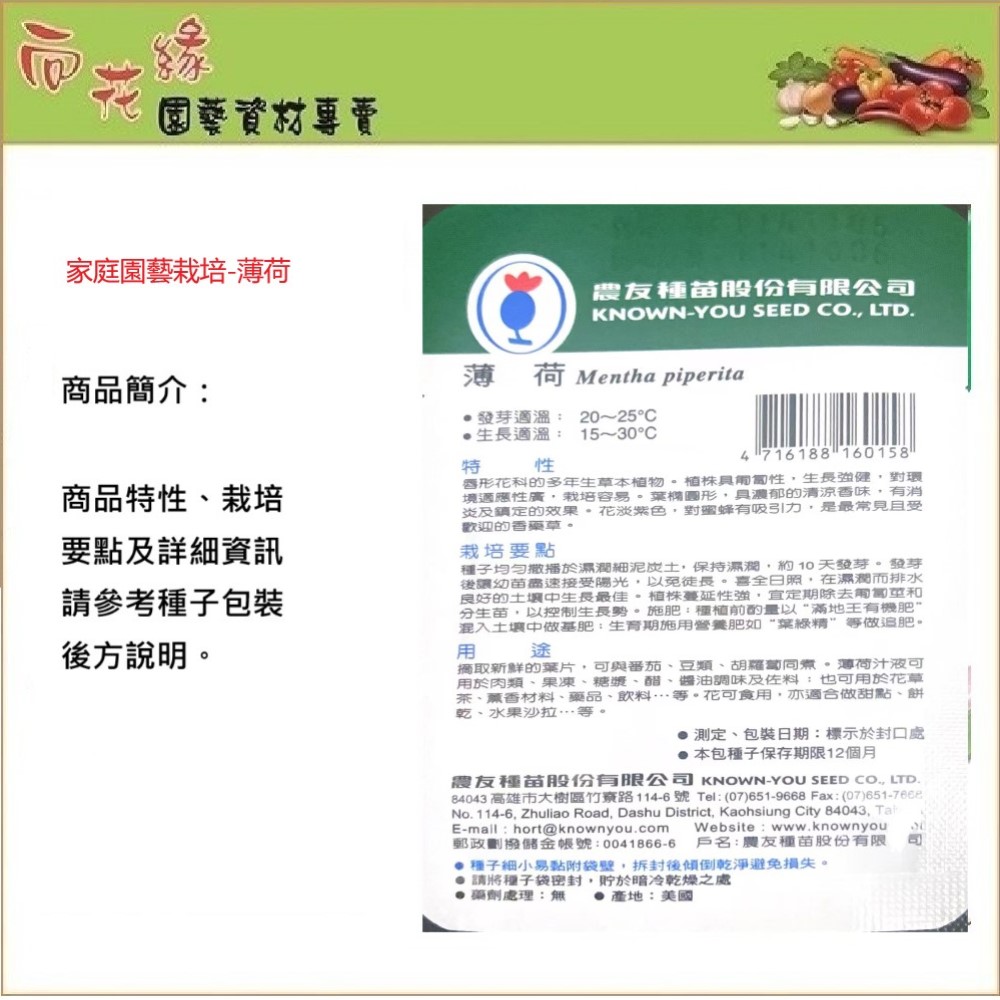 NongYou Peppermint Herb Seeds, , large