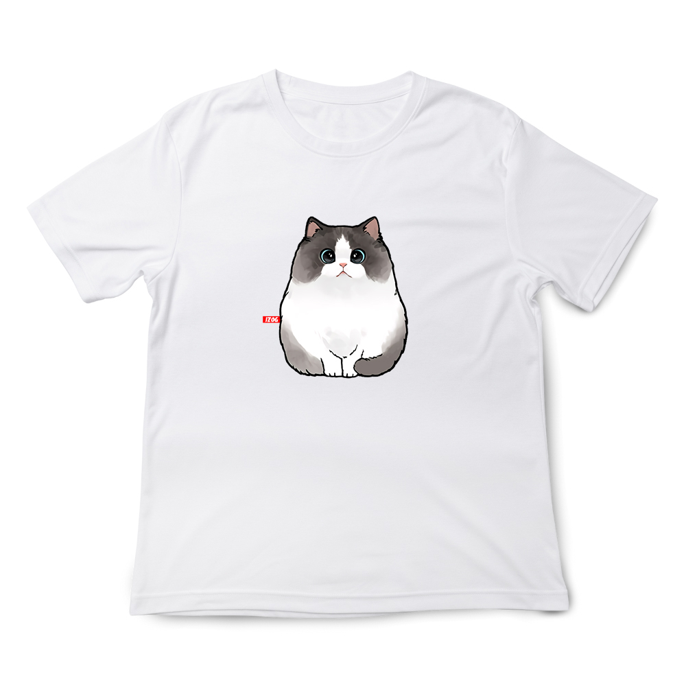 JZ TEE Ragdoll Cat Graphic Tee